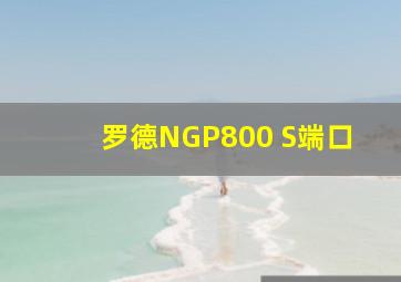 罗德NGP800 S端口